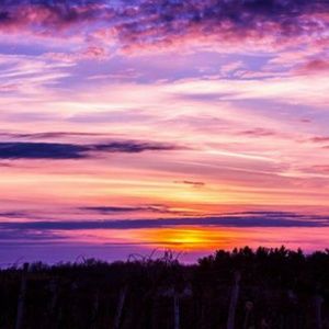 Meet your Posher, Steven